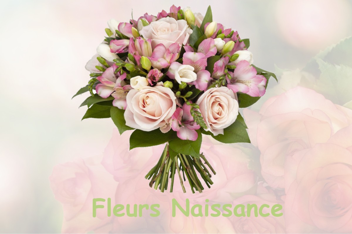 fleurs naissance LA-NEUVILLE-LES-BRAY